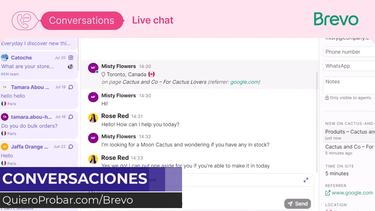 conversaciones brevo