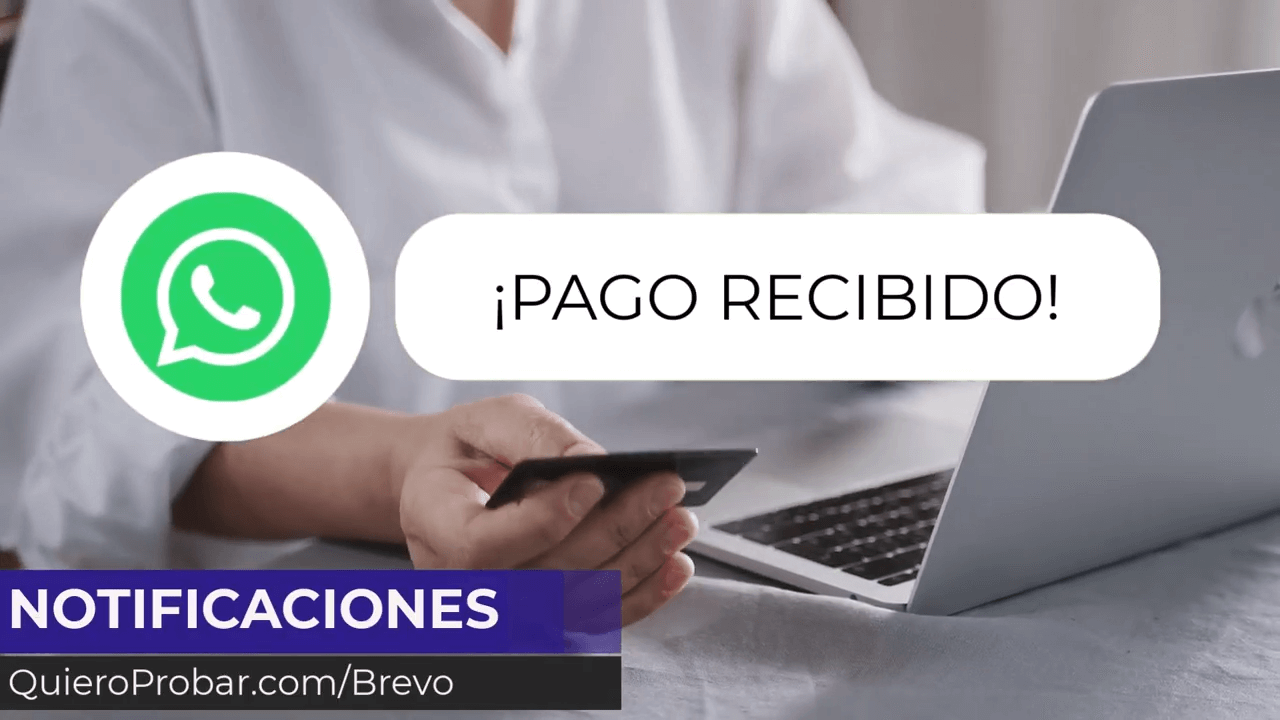 notificaciones brevo